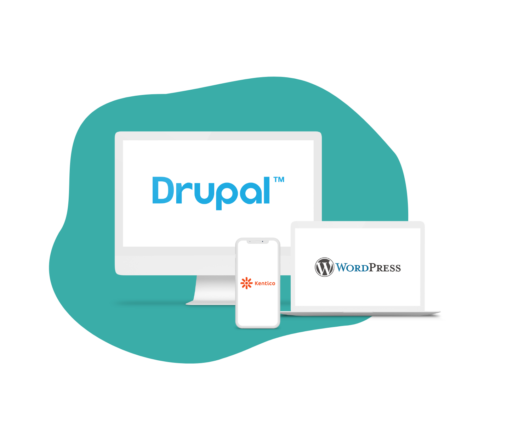 the content management systems that JSA work with - Drupal, wordpress and kentico